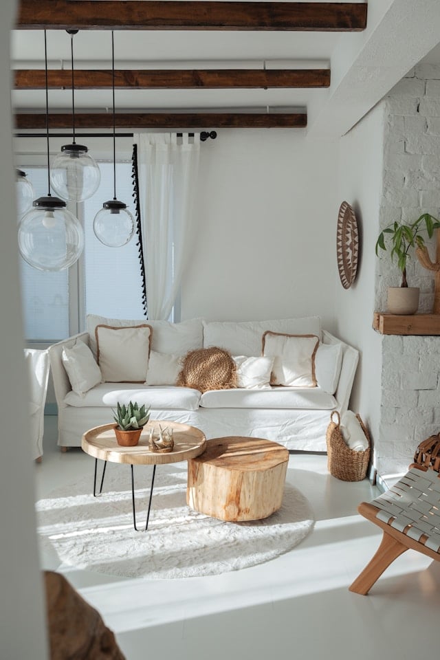 mesut-cicen-s-ZJpt0UdpU-unsplash