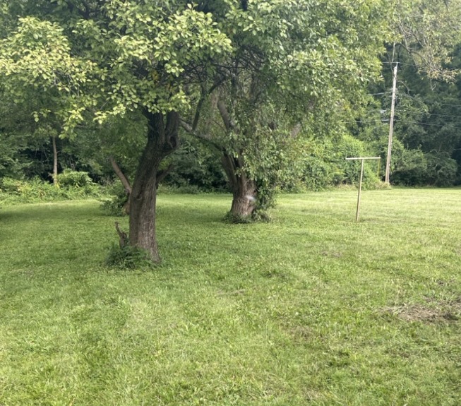 Screenshot 2026-04-24 at 9.18.58 AM