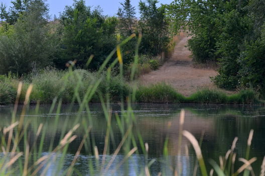 Lake in the Hills