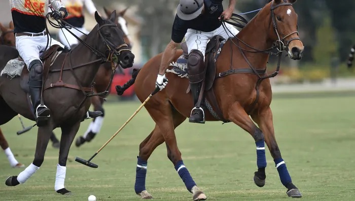Polo players competing at the Vero Beach Polo Club
