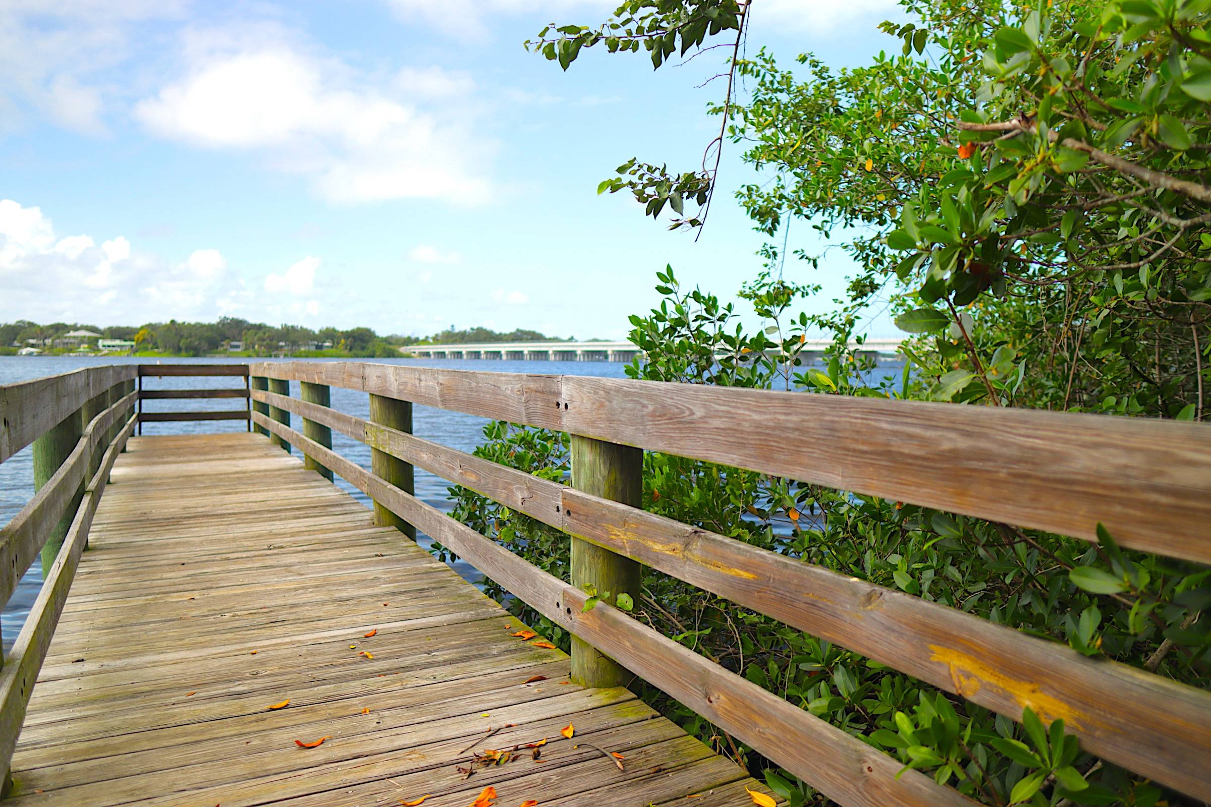 Waterfront landscape in Roseland, Florida