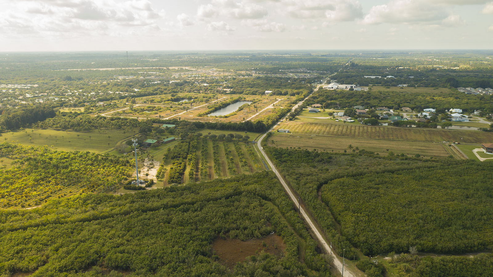 Residential landscape in Winter Beach, Florida