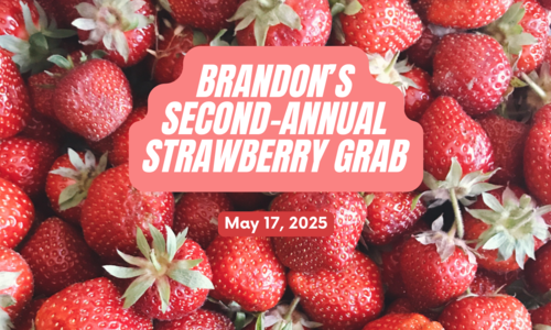 Brandon's Second-Annual Strawberry Grab