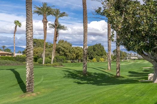 75-820-Carnelian-photo-11