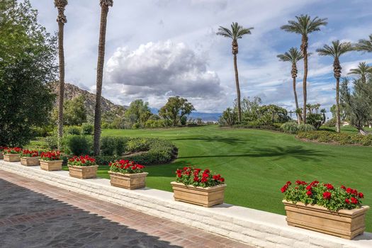 75-820-Carnelian-photo-12