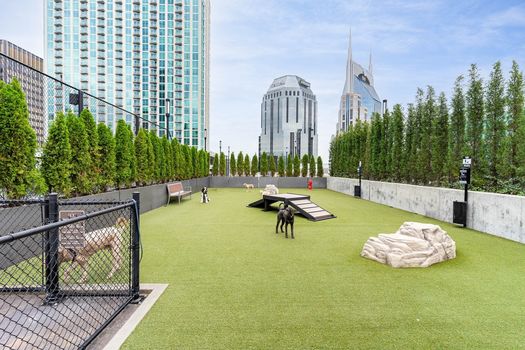 Rooftop dog park amenity at 505 Nashville highrise condominium on Church Street with the AT&T Building and downtown Nashville skyline in the background