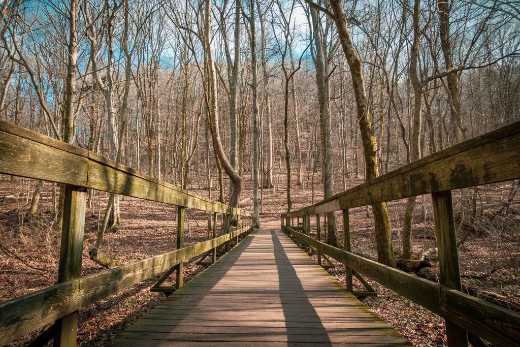 Wooden boardwalk trail through native hardwood forest at Radnor Lake State Natural Area in Nashville representing low impact trail design consistent with the Harris Ridge Trail expansion