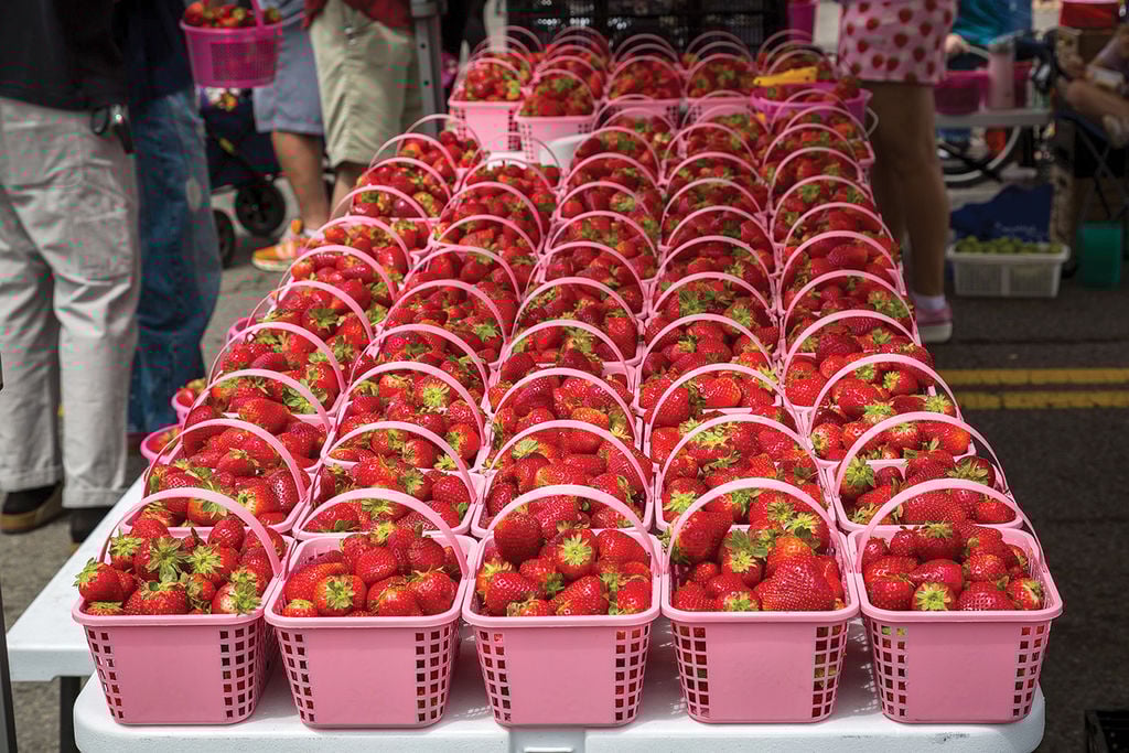 Rows of fresh strawberries in pink baskets at the Middle Tennessee Strawberry Festival in Portland, Robertson County