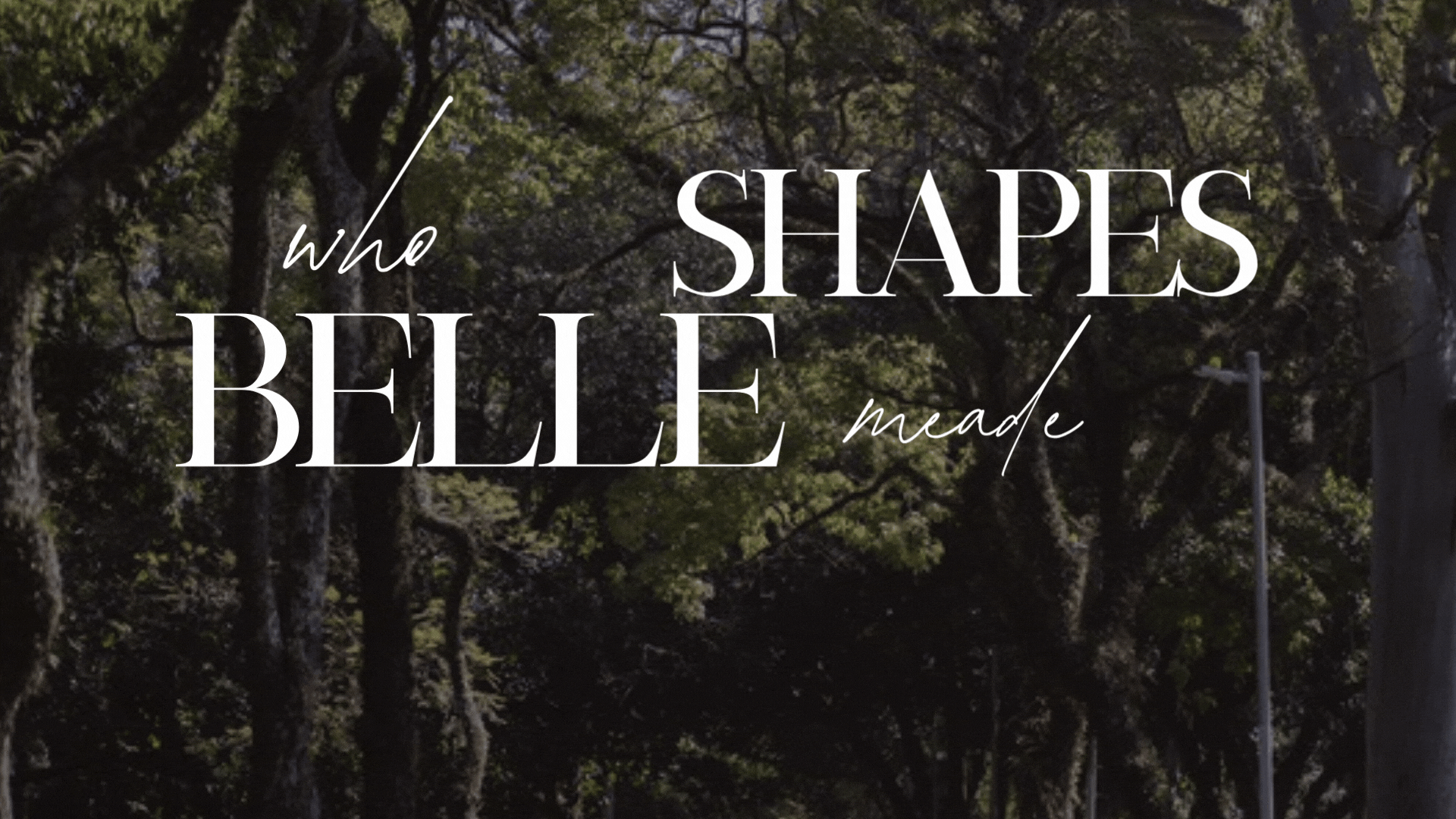 belle-meade-boards-committees-governance