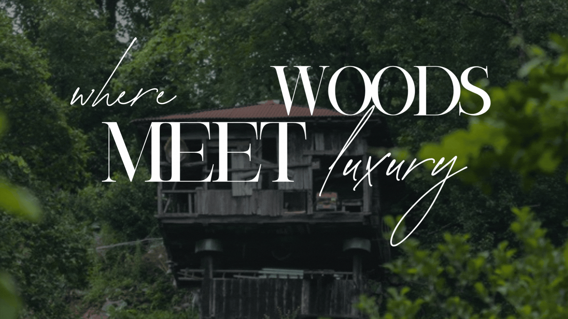 Wooded forest setting representing Forest Hills, Tennessee luxury estates near Nashville