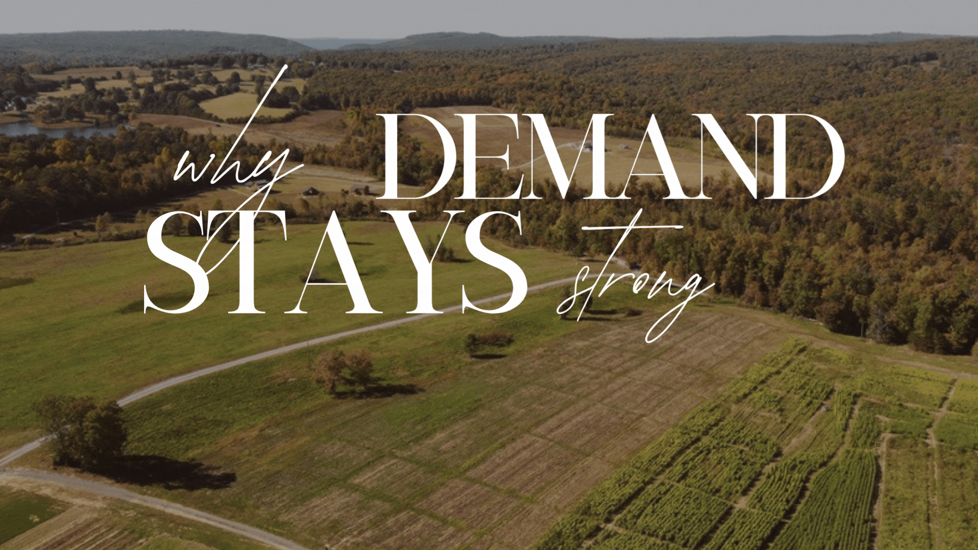 Grassland's Last Five Years: Growth, Traffic, and Why &hellip;
