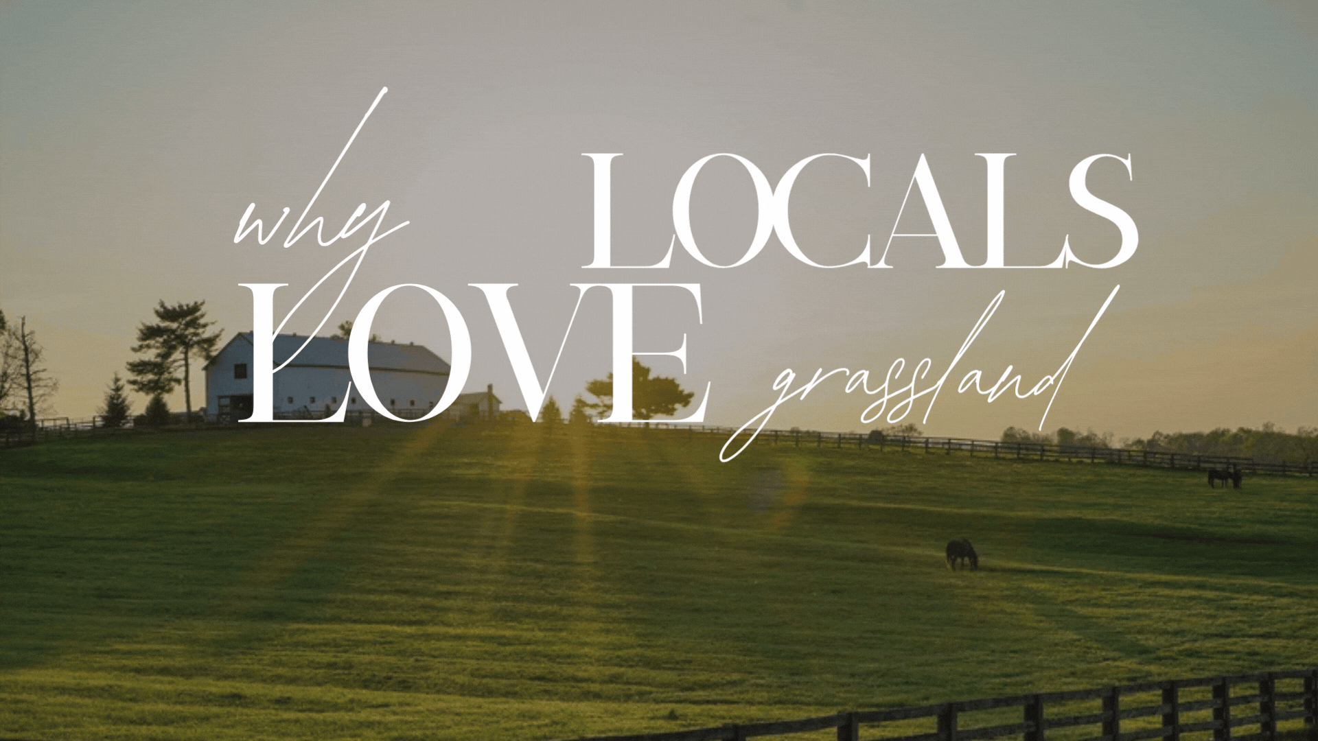 Why Locals Love the Grassland Area of Franklin, &hellip;