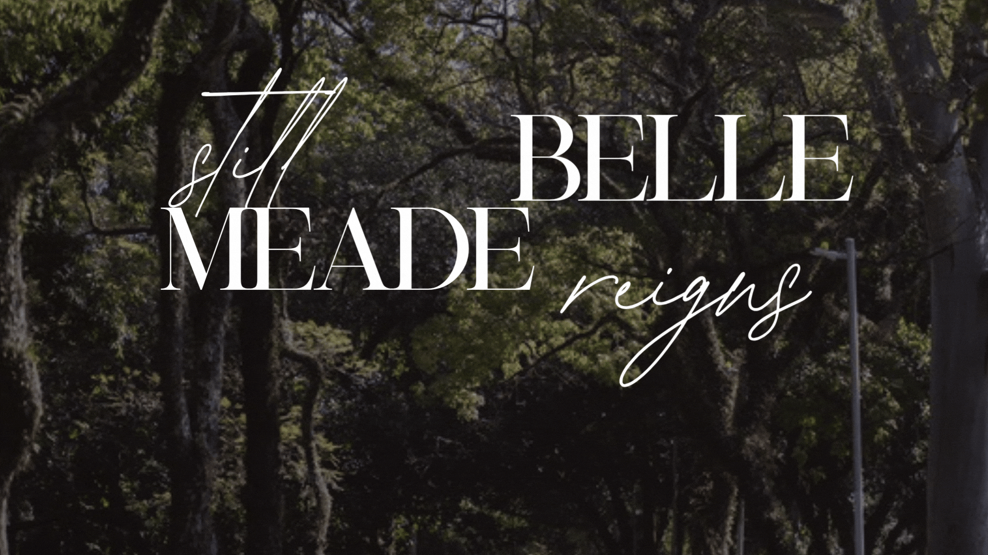 Why Belle Meade Is Still the Benchmark for &hellip;
