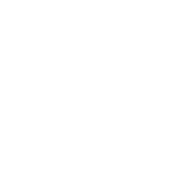 South-Seas-Real-Estate-Logo-Stacked-Light