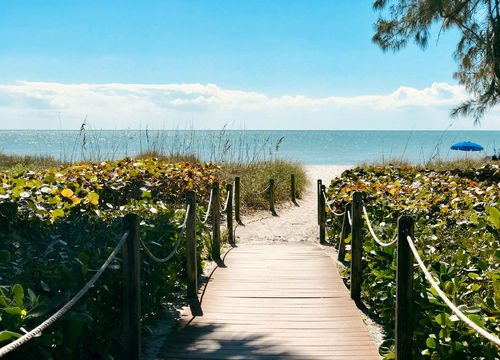 melissa-mullin-0p5MetOTcVM-unsplash-sm