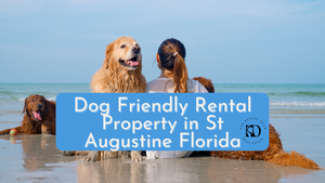 Invest in a Dog Friendly Property in St …