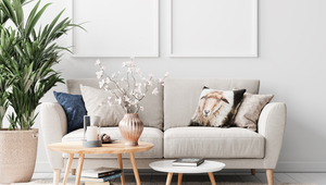 Why It's Important To Work With A Realtor