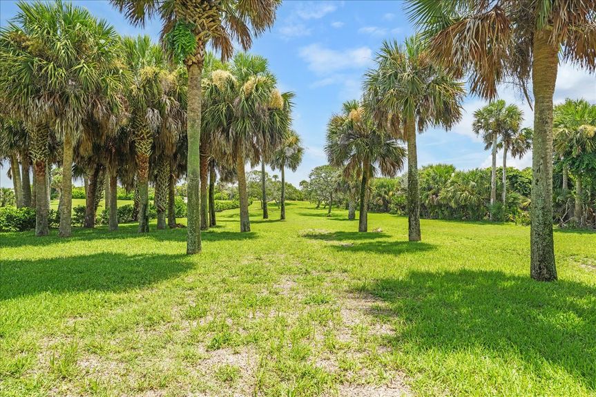 Palm Coast Luxury Waterfront Living