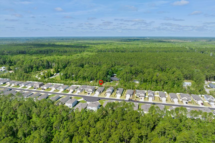 Scenic neighborhood view showcasing tree-lined streets and charming homes.