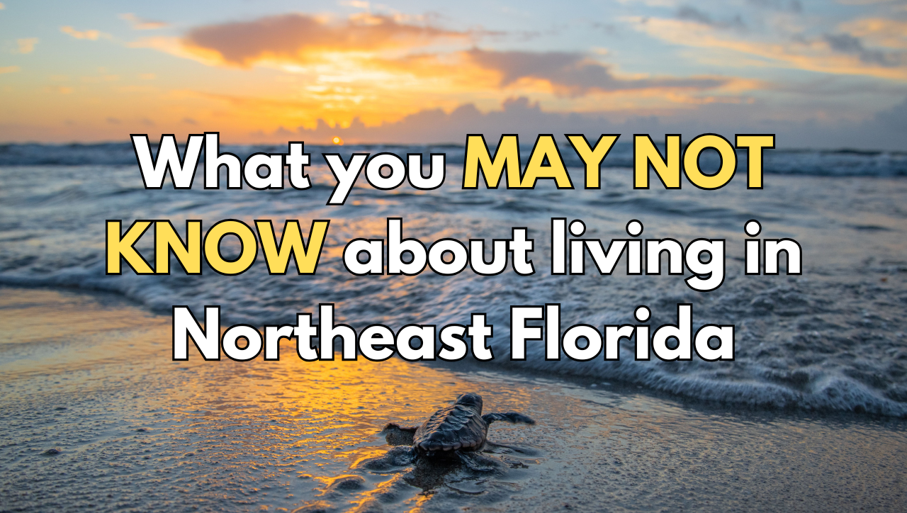 What you MAY NOT KNOW about living in Northeast Florida