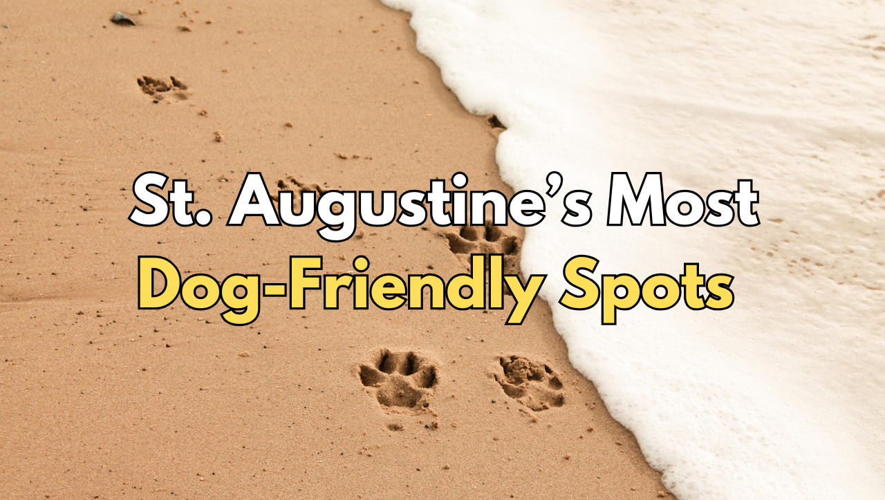 St. Augustine’s Most Dog-Friendly Spots
