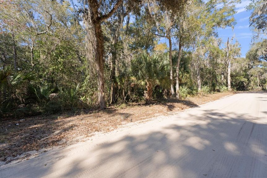 View of the sandy Pine Island Road in Ponte Vedra, FL, intersecting with a private wooded driveway, framed by oak trees and saw palmettos.