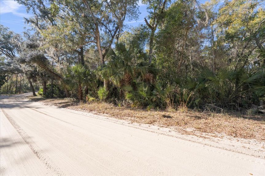 A winding curve on the unpaved Pine Island Road in Ponte Vedra, showcasing the peaceful, rural atmosphere of this coastal community.