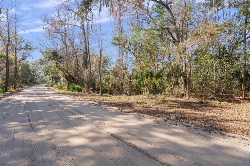 Dappled sunlight filtering through trees onto Pine Island Road, highlighting the mature canopy of this buildable Ponte Vedra lot.