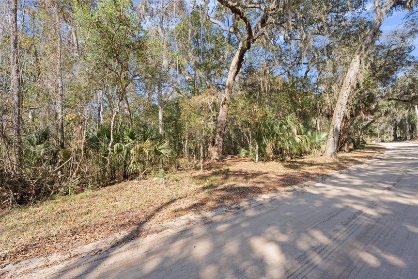 Roadside view of a vacant lot on Pine Island Road, Ponte Vedra, showing dry sandy soil and elevation suitable for construction.