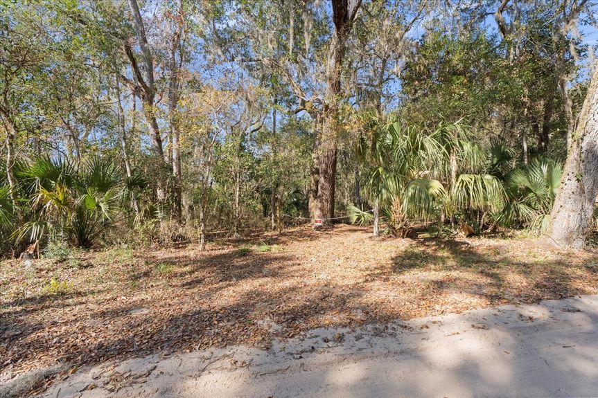 A chained clearing along Pine Island Road, marking the potential location for a private gated driveway into a wooded Ponte Vedra estate.