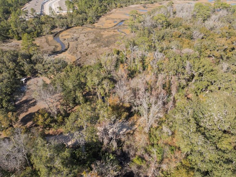 Aerial view of a winding tidal creek meandering through the marsh adjacent to the wooded lot, offering potential for kayaking or fishing.