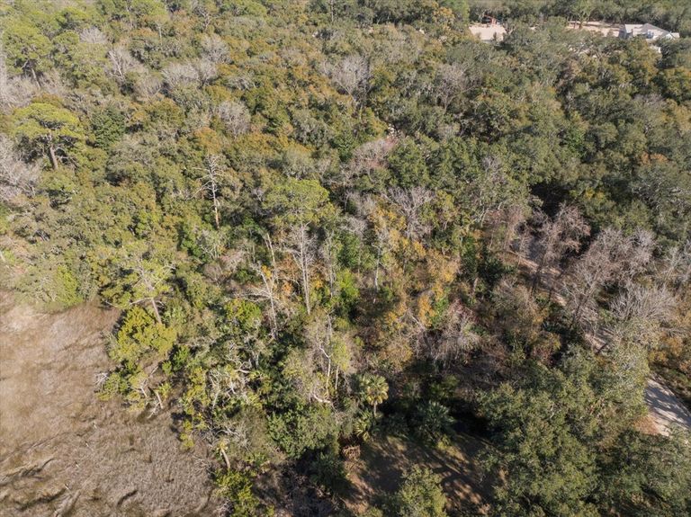 Top-down drone shot showing the diverse mix of palms, oaks, and pines on the property, indicating a healthy and established ecosystem.