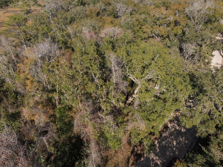 Aerial perspective showing the dirt road frontage and the depth of the woods, helping visualize the setback distance from the street.
