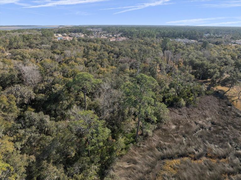 Wide aerial drone shot of dense forest in Ponte Vedra transitioning into tidal marsh, with the Intracoastal Waterway and horizon visible in the distance.