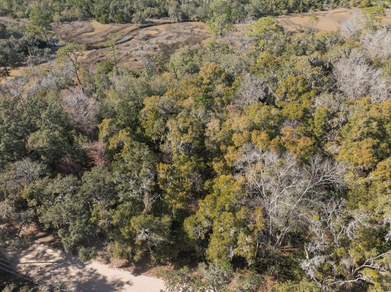 Aerial view looking down at a thick canopy of oak and pine trees on a Pine Island Road property, showing the density of the native vegetation.