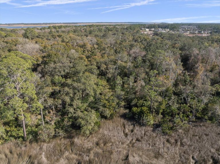 Landscape drone shot showing the property line where the pine forest meets the marsh grass, highlighting the natural buffer and potential views.