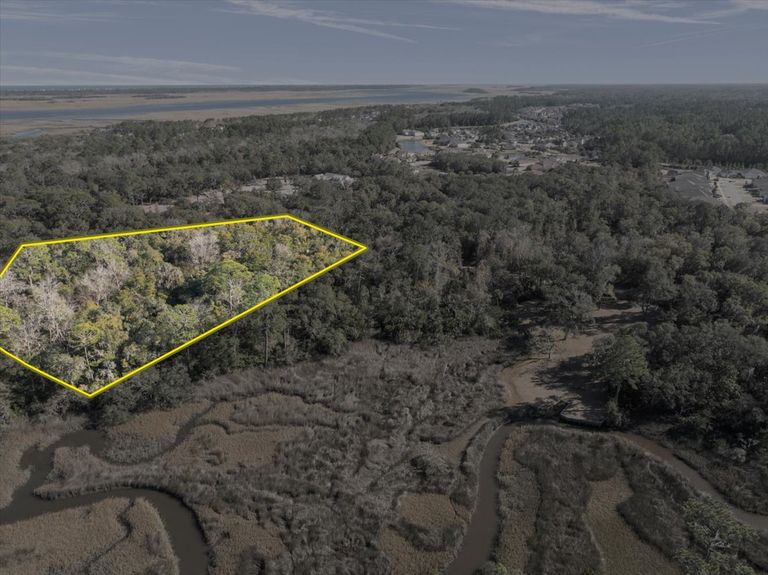 Drone photography of a wooded lot with graphic boundary lines, showing the property's position relative to the marsh and neighboring estates in Ponte Vedra.