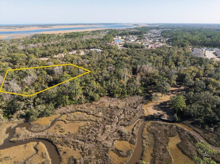 Drone photography with a yellow polygon outlining the dense wooded area of the lot, separating the buildable uplands from the marsh.