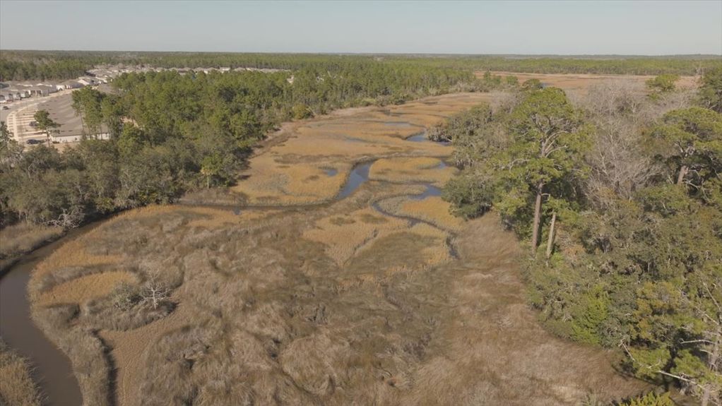 Aerial view showing the transition where the high pine forest meets the winding tidal marsh creek, creating a natural waterfront buffer.