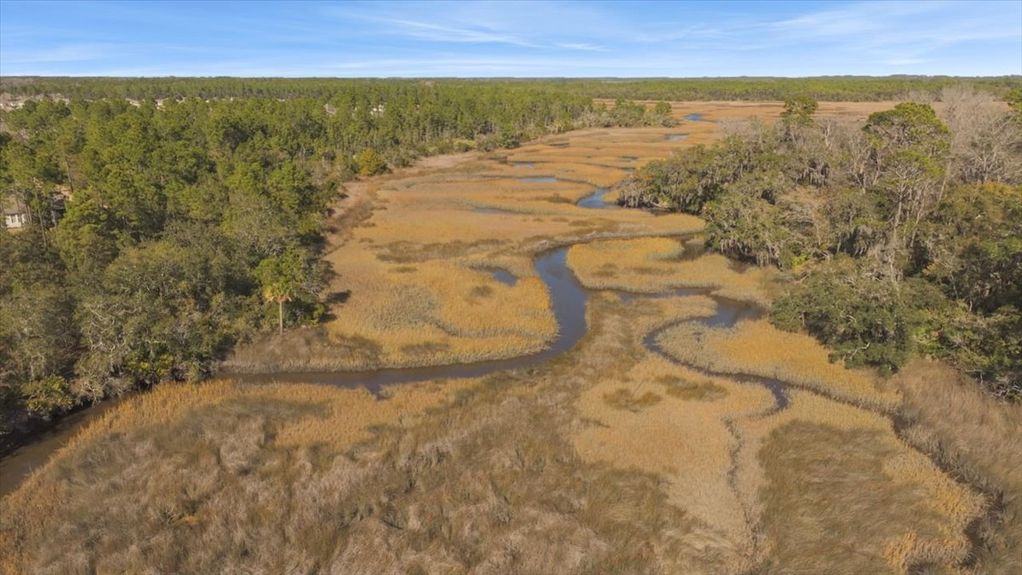 Sunny aerial view of the marshlands near the Intracoastal Waterway in Ponte Vedra, showcasing the golden marsh grass and blue water.