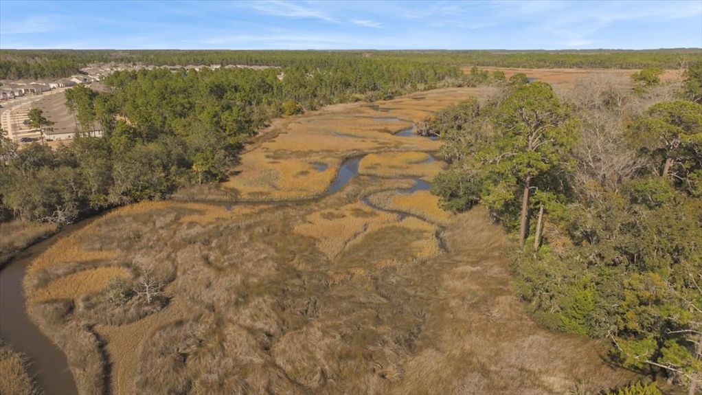 Aerial perspective of the protected marsh ecosystem bordering the wooded lots on Pine Island Road, guaranteeing no rear development.