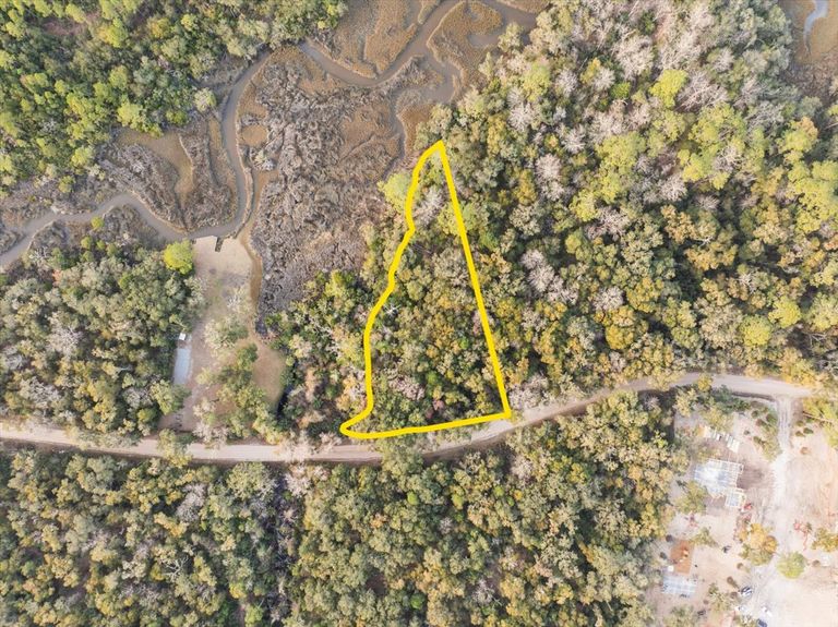 Aerial photo with a yellow boundary line outlining the triangular shape of the wooded lot, highlighting its wide road frontage and tapered marsh access.