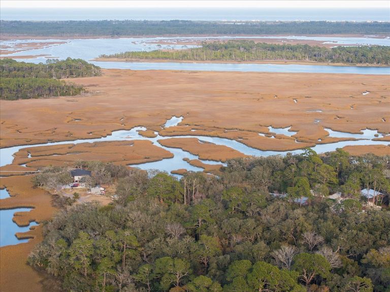 Aerial view showing neighboring large custom homes with private docks nestled in the trees, establishing the high value of the area.