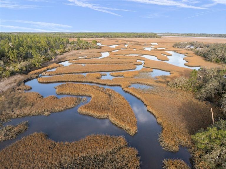 Wide aerial drone shot of the golden salt marsh stretching towards the horizon in Ponte Vedra, with winding blue tidal creeks and a distant tree line.
