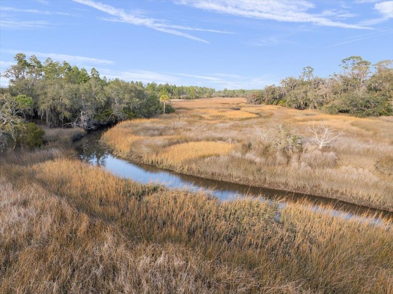 Eye-level view of a tranquil tidal creek curving past the dense tree line of the property, showing the seamless transition from forest to marsh.