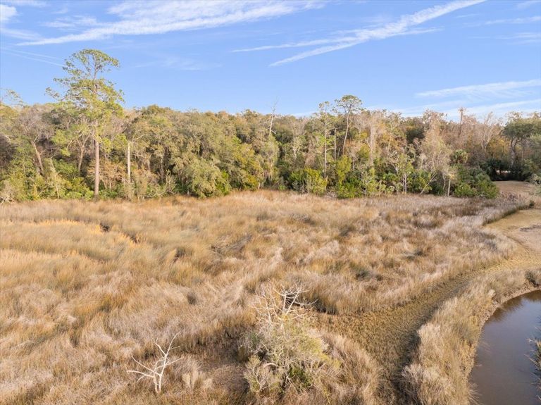 Drone shot hovering over the marsh grass looking back at the solid wall of trees on the property, defining the edge of the buildable uplands.