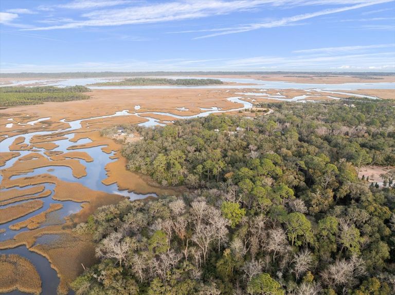 Wide panoramic aerial showing the dense green canopy of the lot transitioning into the vast marsh system and the open water of the Intracoastal Waterway.