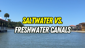 Saltwater vs. Freshwater Canals in Palm Coast: Does &hellip;