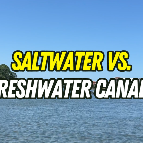 Saltwater vs. Freshwater Canals in Palm Coast: Does it matter for resale?