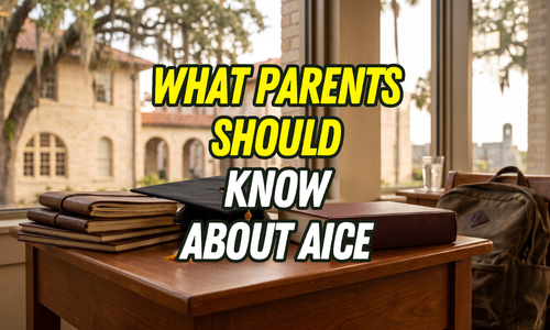 What is the 'AICE Program' in St. Johns County schools?